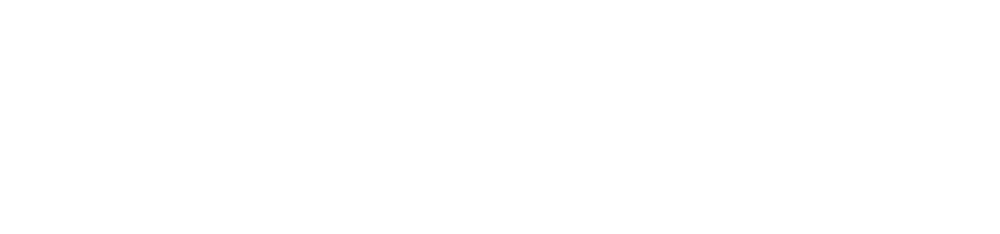 NAOMI BOUSSIDAN logo